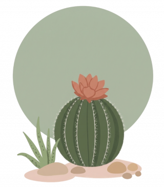 Deserts Blooms Cactus 2