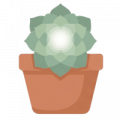 Desertsbloom1