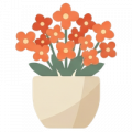 Desertsbloom3