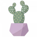Desertsbloom4