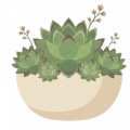 Desertsbloom7